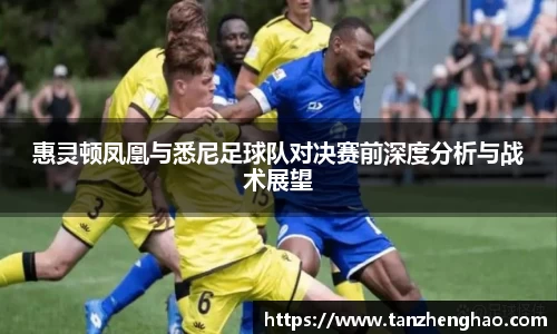 惠灵顿凤凰与悉尼足球队对决赛前深度分析与战术展望